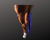 Lycra tie in tail bags purple